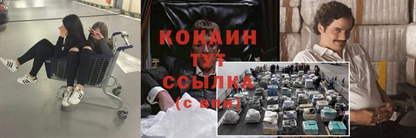 гидра Инсар