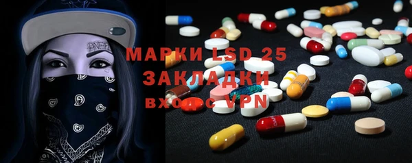 дживик Каменка