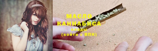 ешки Инта