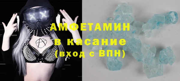 гидра Инсар