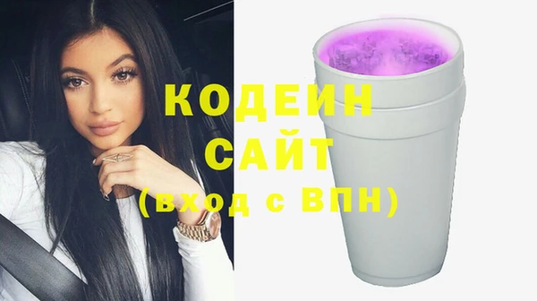 ешки Инта