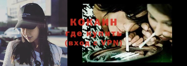 дживик Каменка
