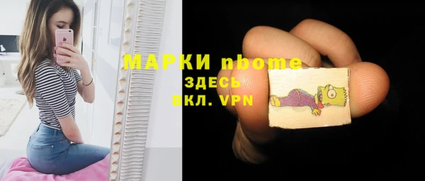 дживик Каменка