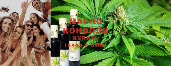 ешки Инта