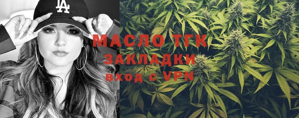 гидра Инсар