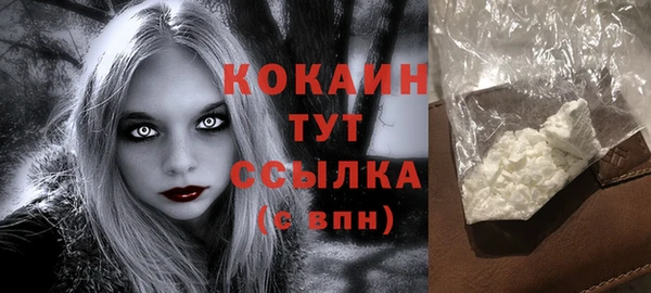 дживик Каменка
