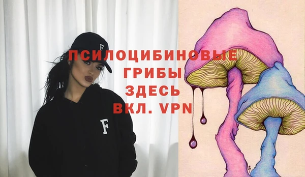 МДПВ Иннополис
