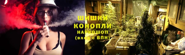 дживик Каменка