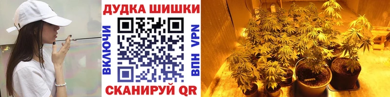 Купить где  Дубовка  Бошки Шишки сатива 